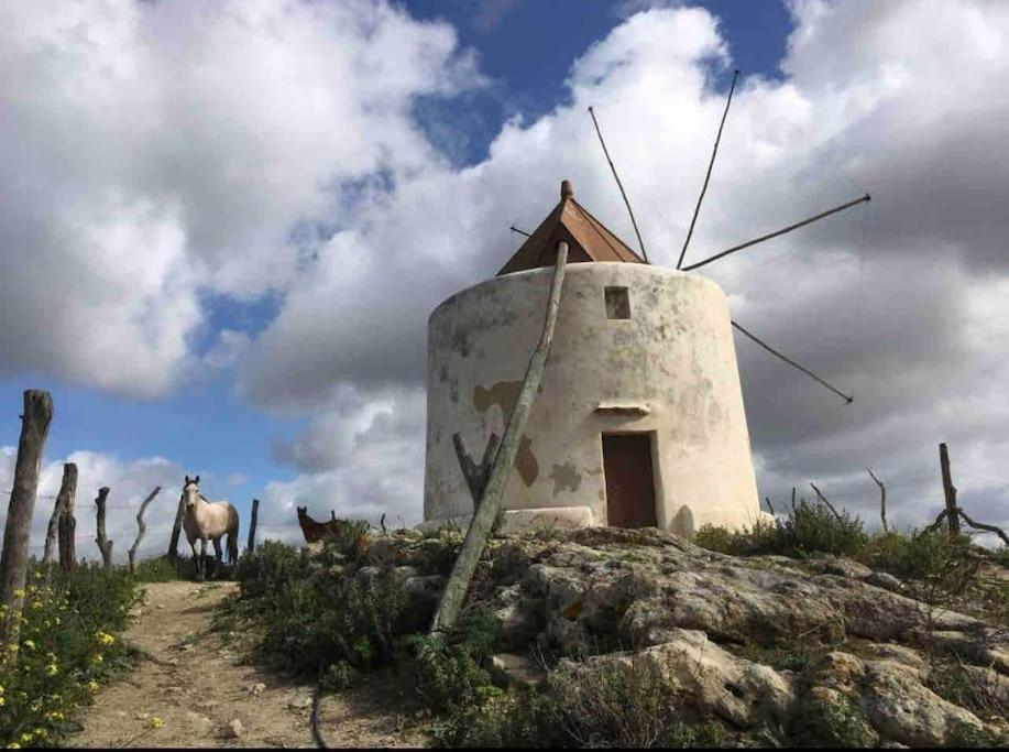 La Torre Eco-Suite Vejer de la Frontera Exterior foto